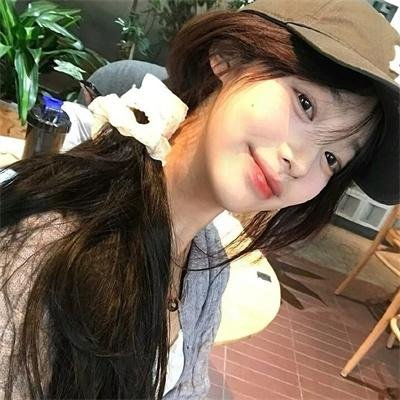 狗的审判